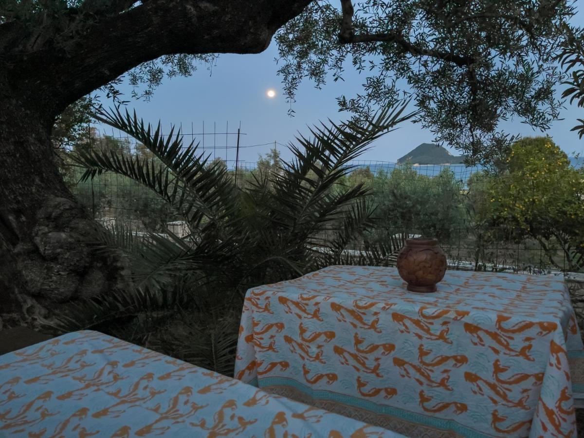 Lithakia  Villa Anta House By The Sea מראה חיצוני תמונה