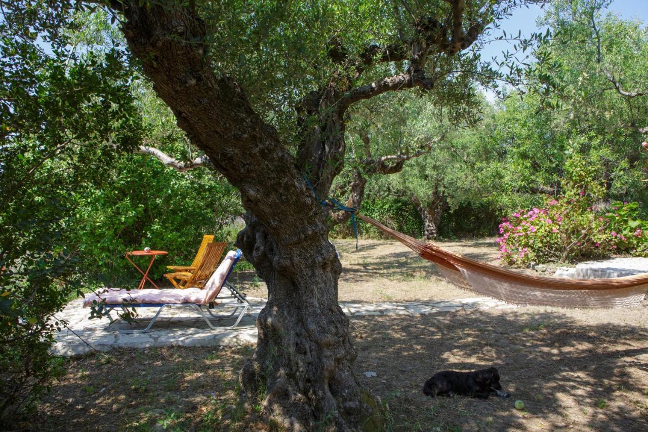 Lithakia  Villa Anta House By The Sea מראה חיצוני תמונה